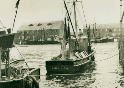 Sklaroff Wharf -  Fishing Vessel Revenge