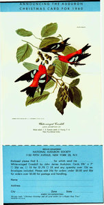 National Audubon Society letter 