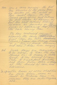 A Page From Fritz Bultman's Journal (Undated)