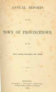 Annual Town Report - 1878