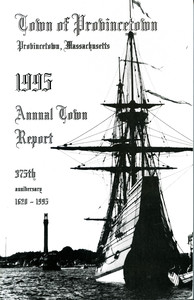 Annual Town Report - 1995