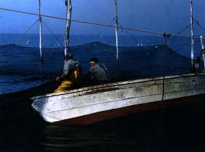 Trap Fishing Photographs 